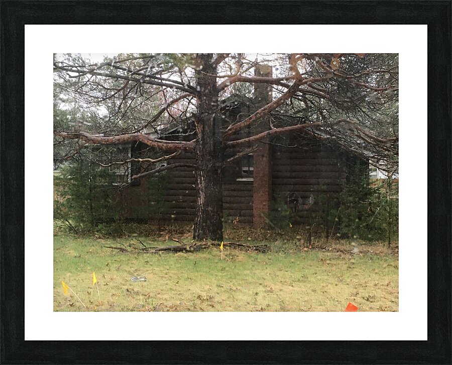 Log Cabin Picture Frame print