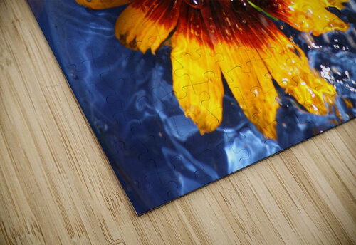 Abstract flower Shilohsimage puzzle