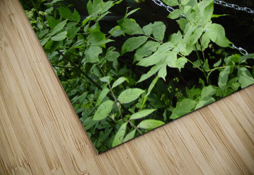Row boat Shilohsimage puzzle