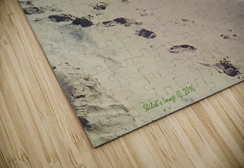 Beach walk Shilohsimage puzzle
