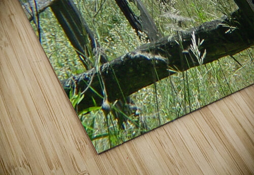 Fence row Shilohsimage puzzle