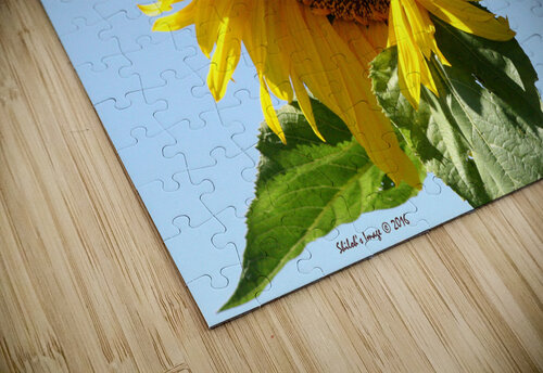 Sunflower Shilohsimage puzzle