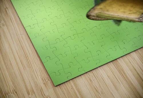 Chickadee Shilohsimage puzzle