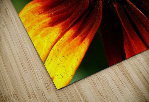 Summer sunflower Shilohsimage puzzle