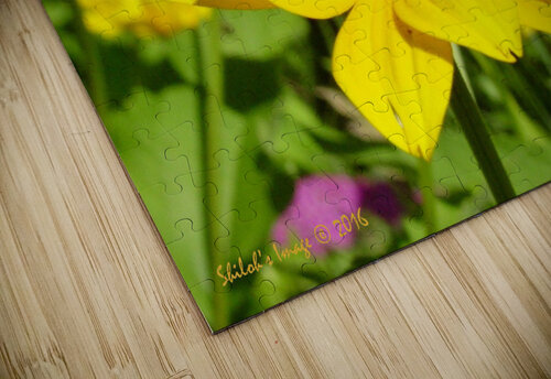 Mello yellow Shilohsimage puzzle