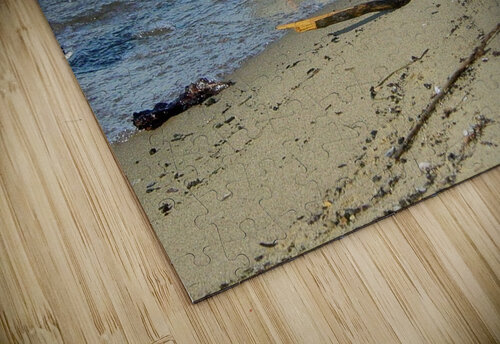 Mallard Ducks Shilohsimage puzzle