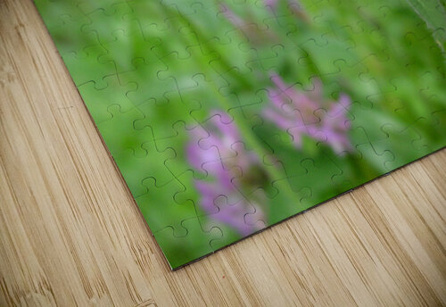 Clover 6 12 2010  Shilohsimage puzzle