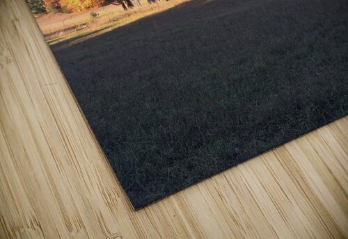 Homestead Shilohsimage puzzle