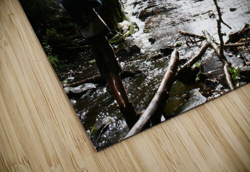 Waterfall Shilohsimage puzzle