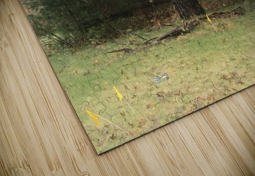 Log Cabin Shilohsimage puzzle