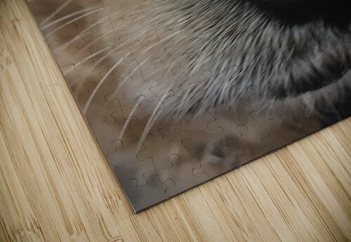 Lucky Dog Shilohsimage puzzle