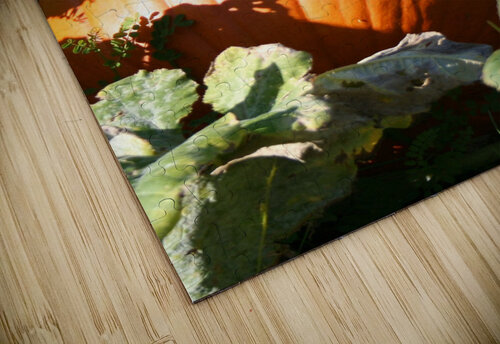 Pumpkin Shilohsimage puzzle