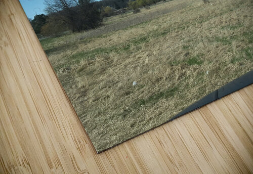 Beautiful Sky Shilohsimage puzzle