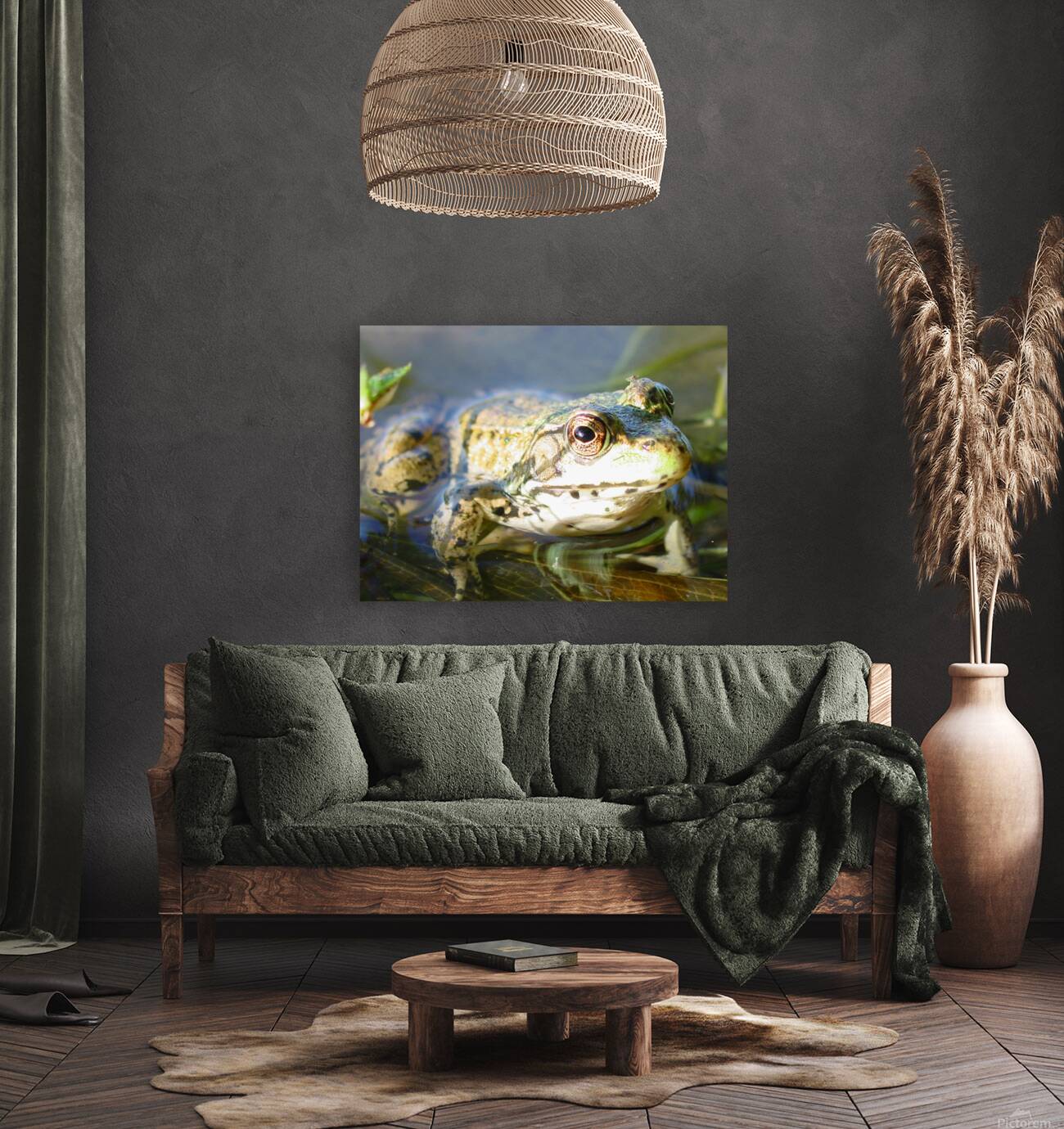 SI Frog  Reproduction