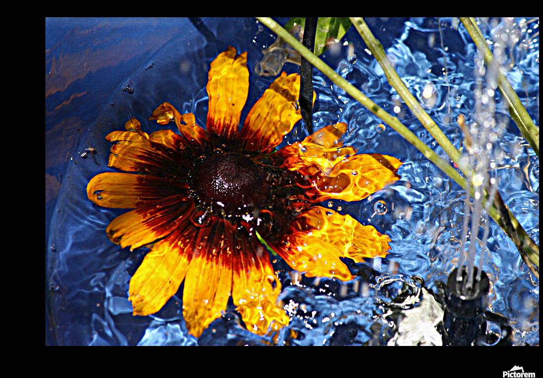 Abstract flower Reproduction