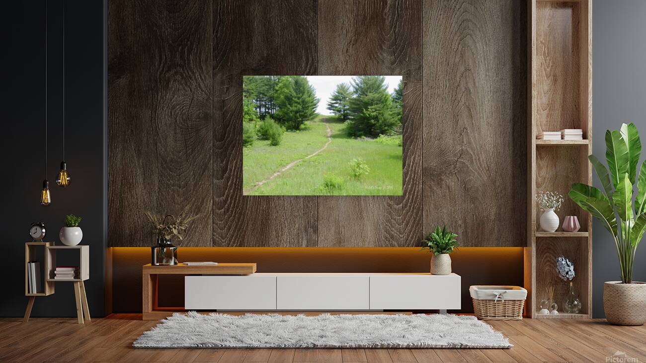 Summer path Reproduction