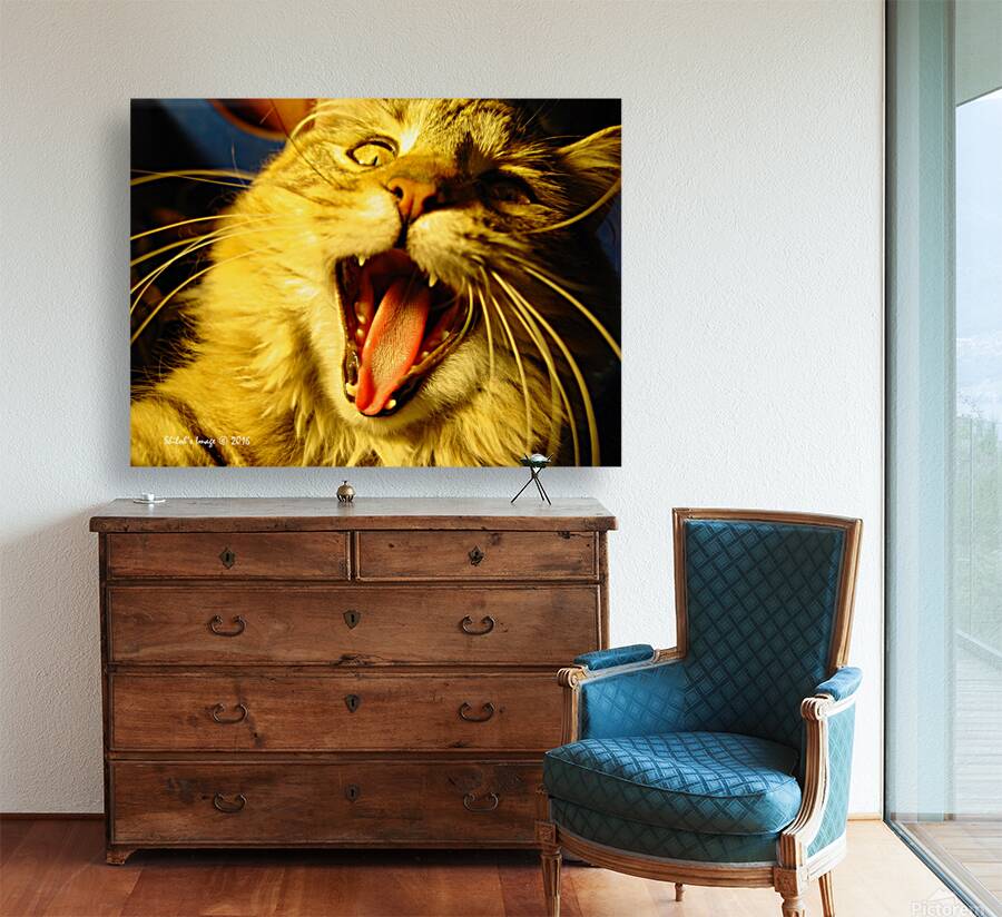 Cat yawn Reproduction