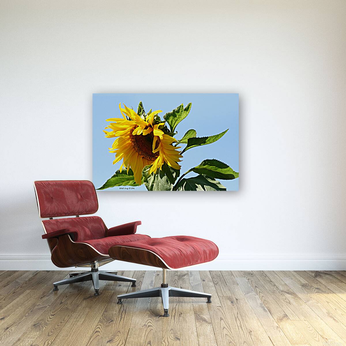 Sunflower Reproduction