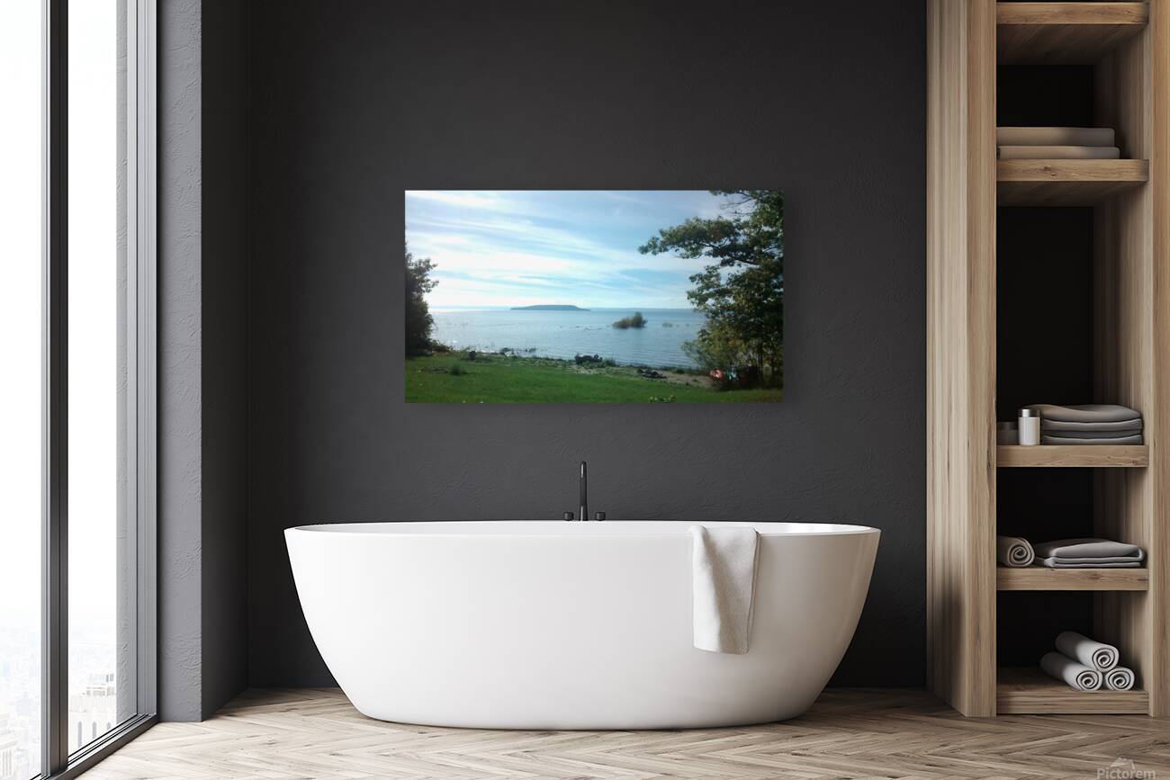 Island view Reproduction