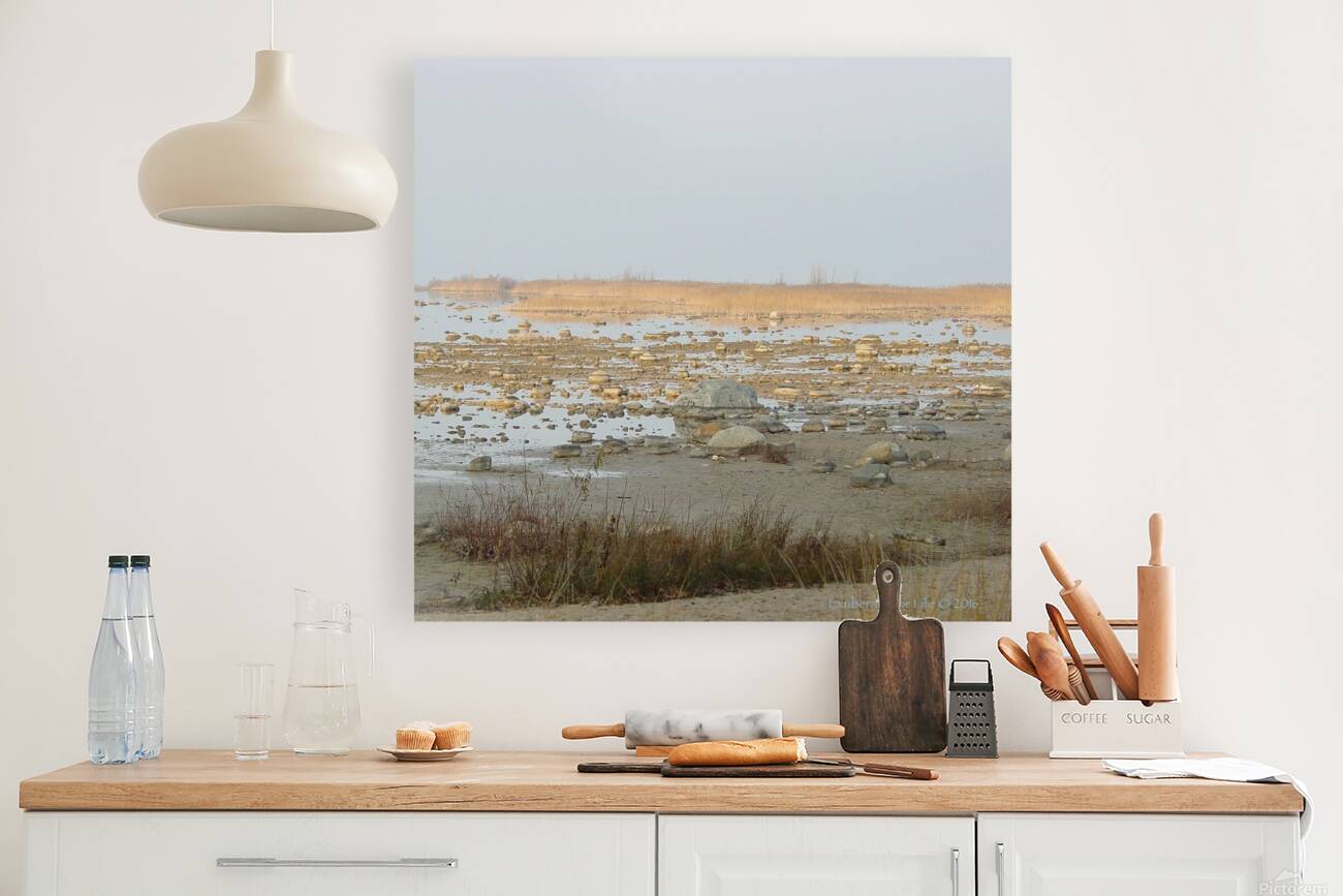 Rockscape Reproduction