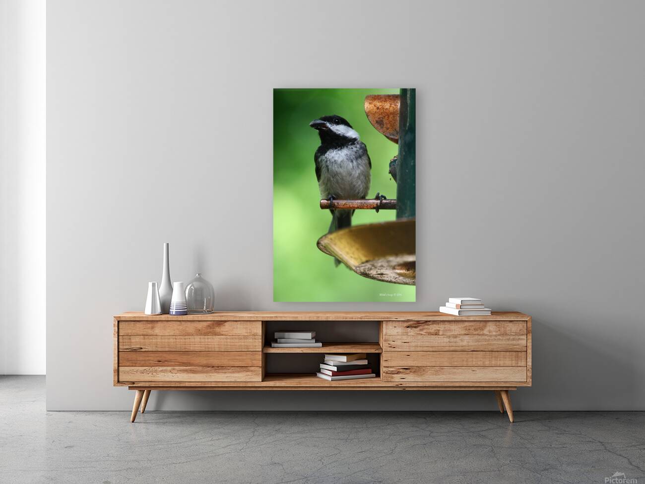 Chickadee Reproduction