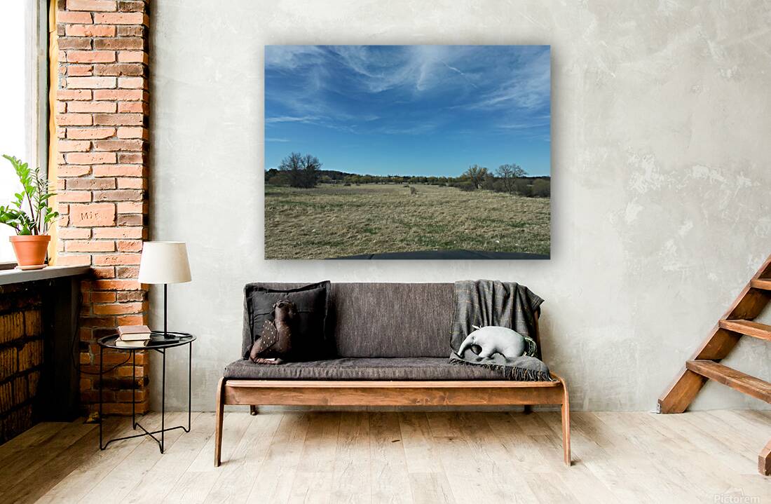 Beautiful Sky Reproduction