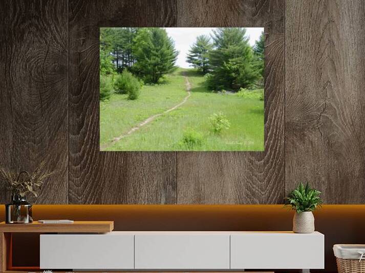Summer path Reproduction