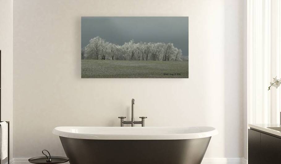 Icy winter scape Reproduction