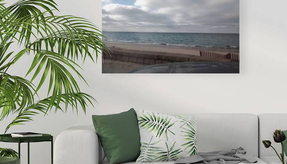 Sea wall Reproduction