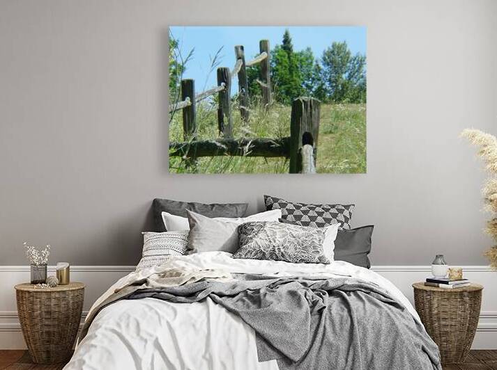 Fence row Reproduction