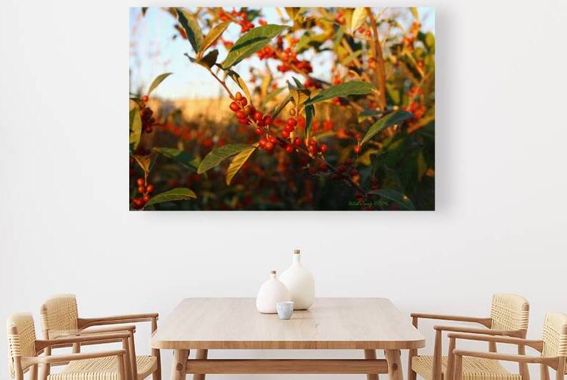 Berry bush Reproduction