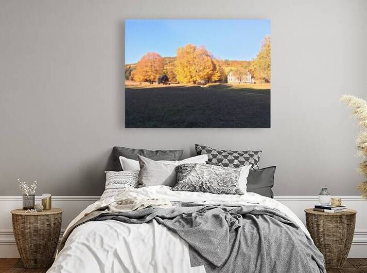 Homestead Reproduction