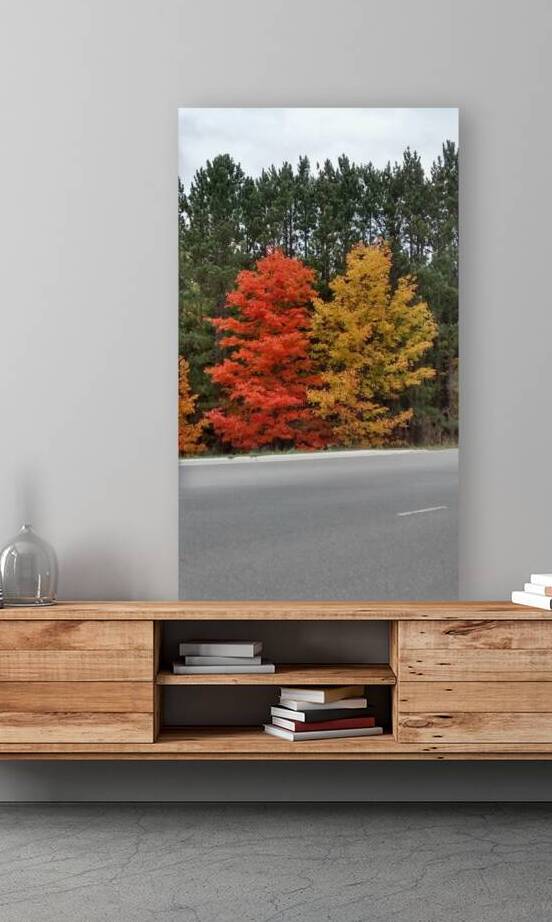Twin Maples Reproduction