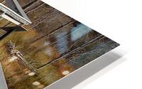 Nature walk HD Metal print