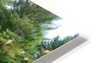 Summer path HD Metal print
