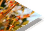 Berry bush HD Metal print