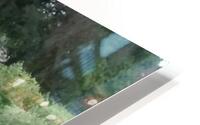 Pond HD Metal print