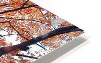 Looking Up HD Metal print