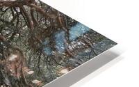 Log Cabin HD Metal print