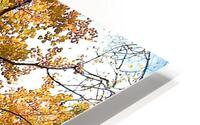 Look Up HD Metal print