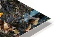 Lichens HD Metal print