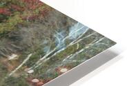 Wilderness Road HD Metal print