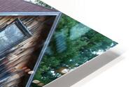 Water House HD Metal print