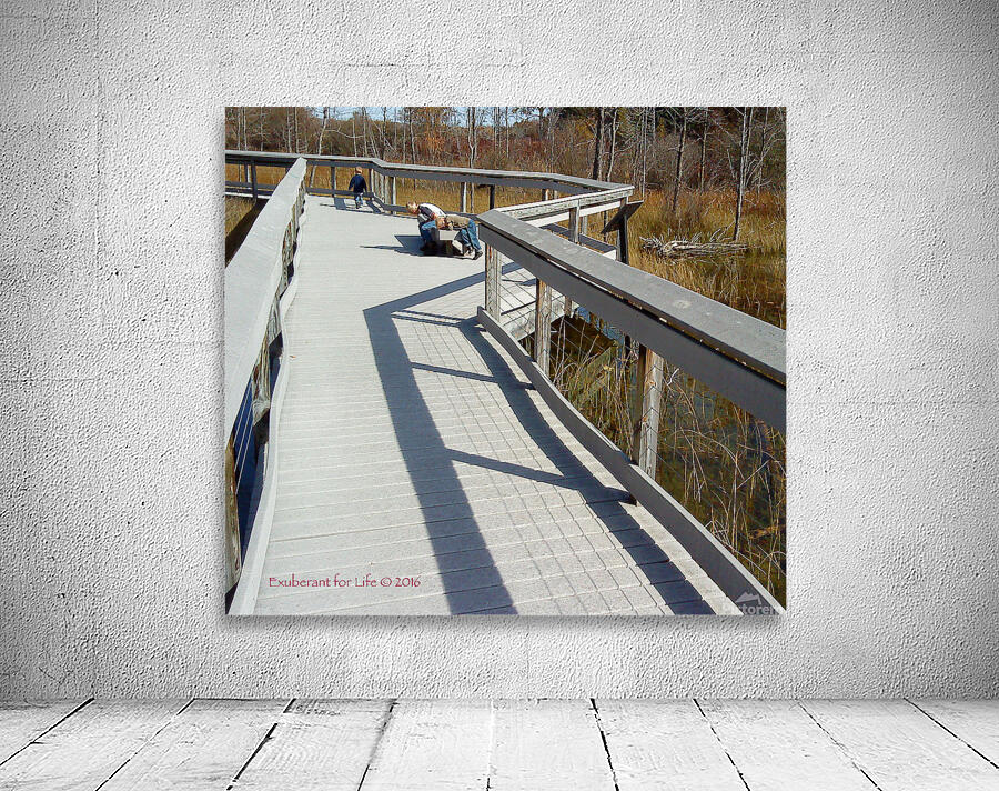 Nature walk Wall Preview