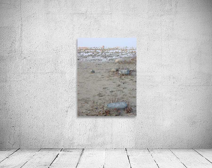 Abstract rocks Wall Preview