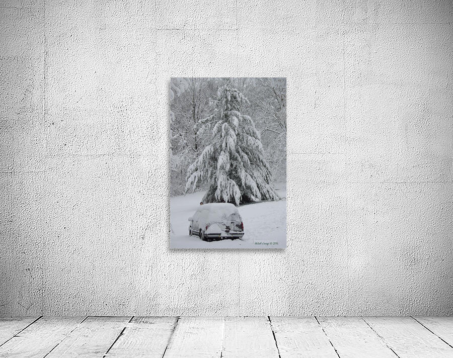 Winter pine Wall Preview