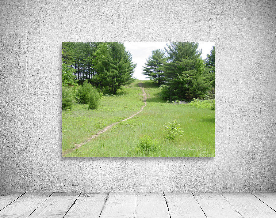 Summer path Wall Preview