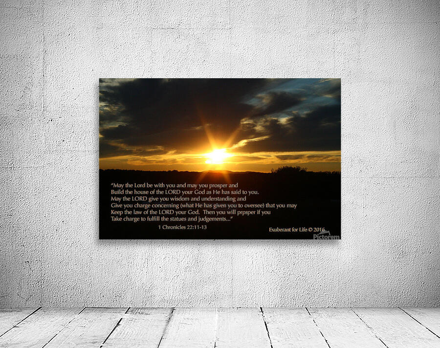 EFL 1 Chron 22 Wall Preview