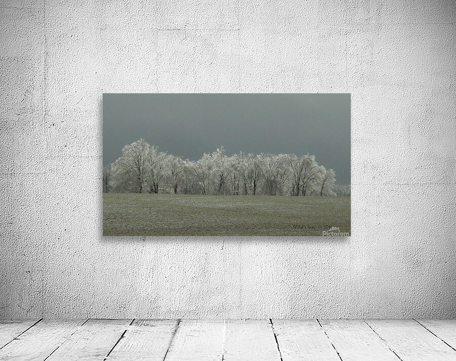 Icy winter scape Wall Preview