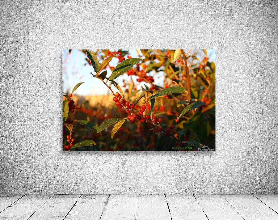 Berry bush Wall Preview
